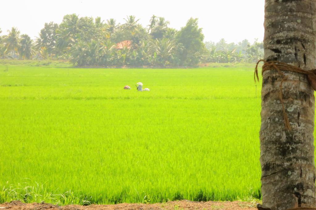 Marari Secret Beach Yoga Homestay Mararikulam Esterno foto
