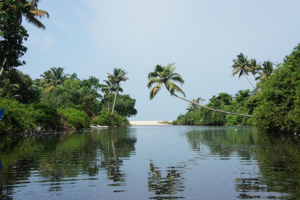 Marari Secret Beach Yoga Homestay Mararikulam Esterno foto