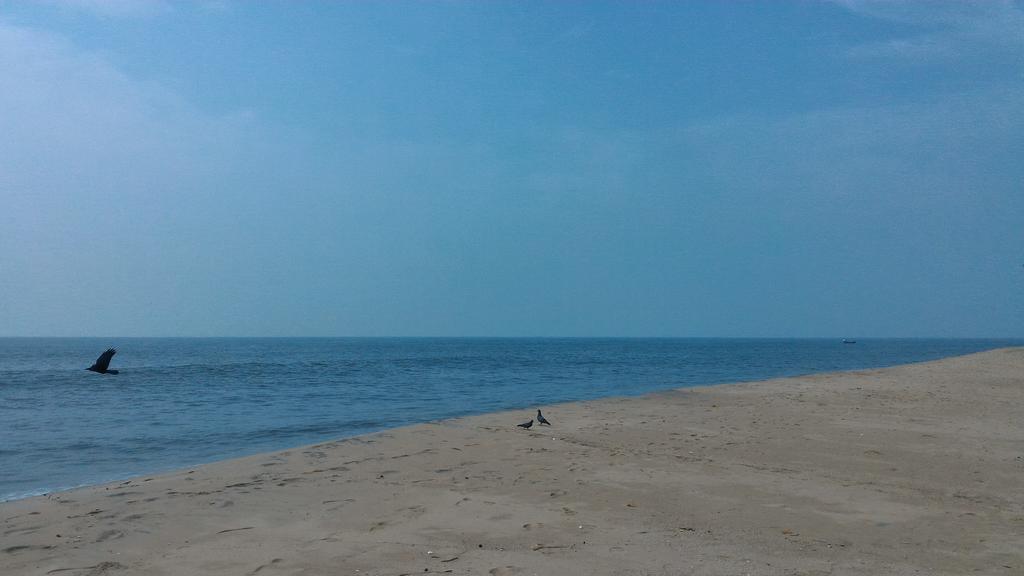 Marari Secret Beach Yoga Homestay Mararikulam Esterno foto